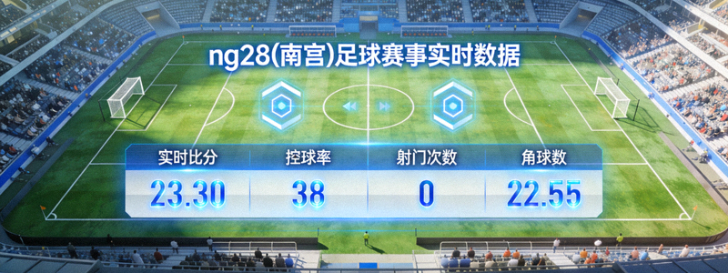 ng28(南宫)足球赛事实时数据 - 足球场鸟瞰图